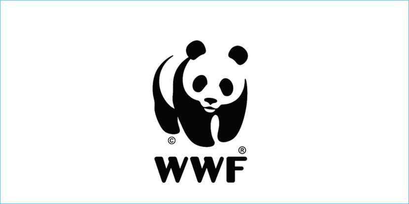 Sostiene il WWF: “Bravo Jovanotti !”