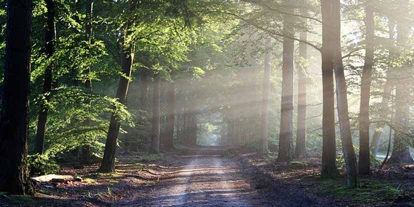 La biodiversità per Eni