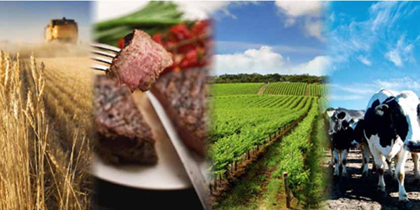 La sostenibilità nella filiera agrifood