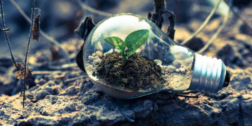 Economia circolare e startup, ecco 11 idee per un ambiente più sostenibile