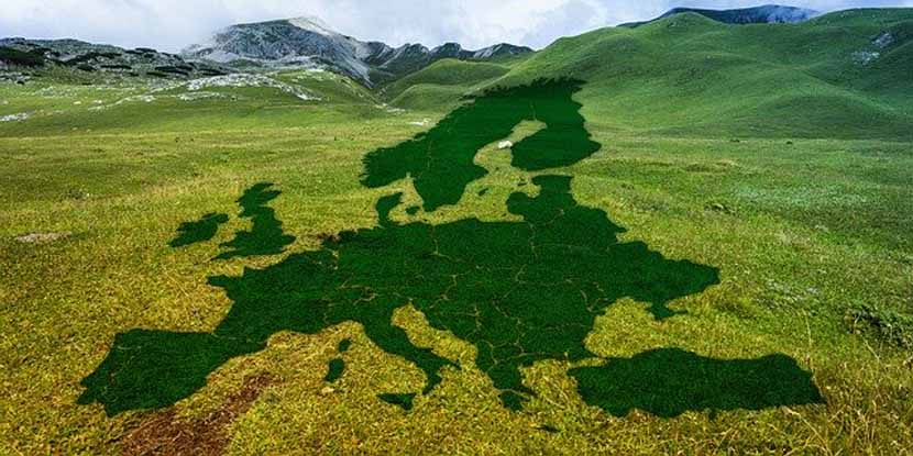 Scommettere sul Green per diventare leader
