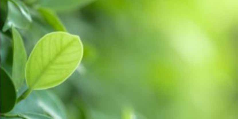 Alla ricerca del “Sense of purpose”: per un impatto sostenibile ed esponenziale