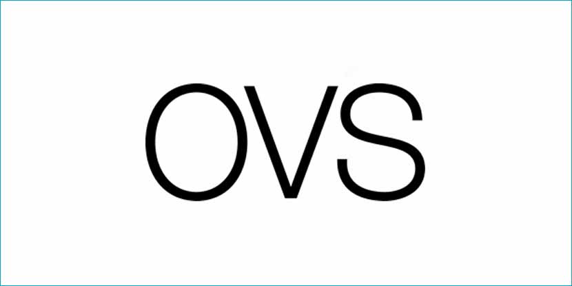 Ovs:«Quella coda negli Usa. La rivoluzione verde è cominciata così»