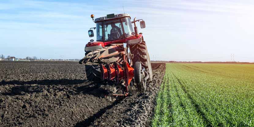 Una nuova figura professionale in agricoltura: il Formatore Agricolo Ambientale