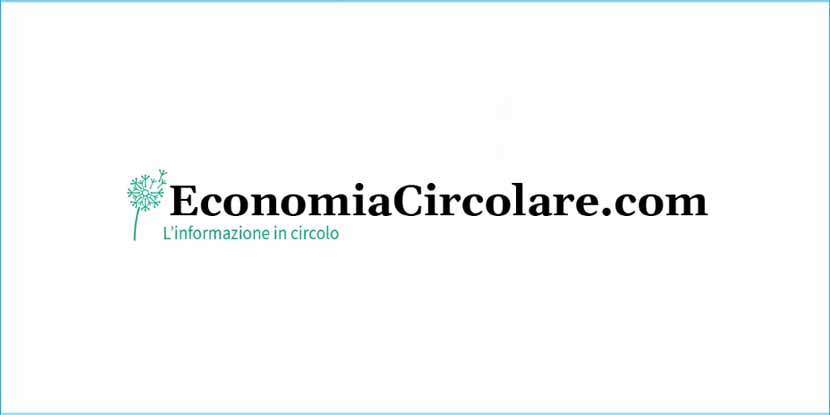 Amazon accusata di greenwashing per la carta, promossa come sostenibile
