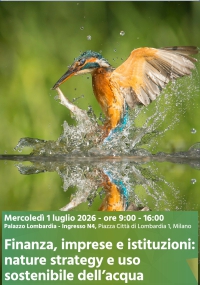 Finanza, imprese e istituzioni: nature strategy e uso sostenibile dell’acqua